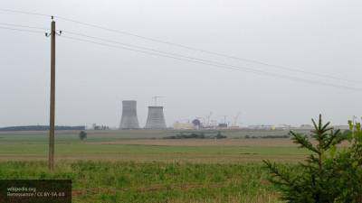 США хотят построить в Польше крупную АЭС