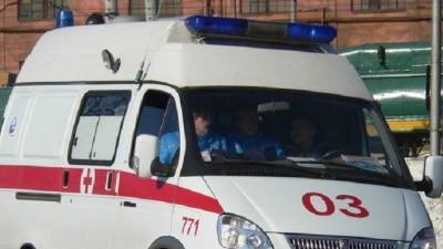 Женщина и трое детей пострадали в ДТП в Гатчинском районе Ленобласти