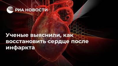 Ученые выяснили, как восстановить сердце после инфаркта