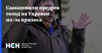 Саакашвили предрек голод на Украине из-за кризиса