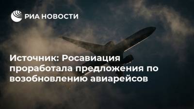 Источник: Росавиация проработала предложения по возобновлению авиарейсов