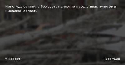 Непогода оставила без света полсотни населенных пунктов в Киевской области