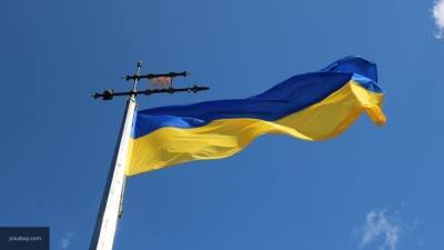 Украинские радикалы напали на депутата партии "Слуга народа" Литвиненко