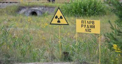 У сотрудника Чернобыльской АЭС подтвердили коронавирус