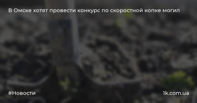 В Омске хотят провести конкурс по скоростной копке могил