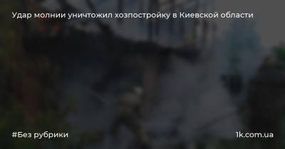Удар молнии уничтожил хозпостройку в Киевской области