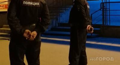 Жители Чувашии лишились за сутки 2 млн рублей: интим-услуги, объявления и другие предлоги мошенников