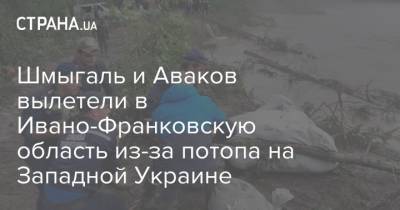 Шмыгаль и Аваков вылетели в Ивано-Франковскую область из-за потопа на Западной Украине