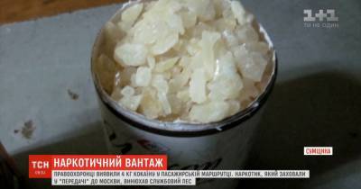 В Сумской области правоохранители разоблачили канал контрабанды кокаина в Россию