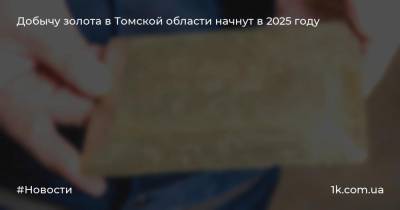 Добычу золота в Томской области начнут в 2025 году