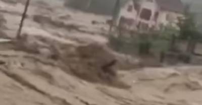 "Господи Боже помоги": наводнение на Западе Украины уничтожает все на своем пути, кадры ЧП