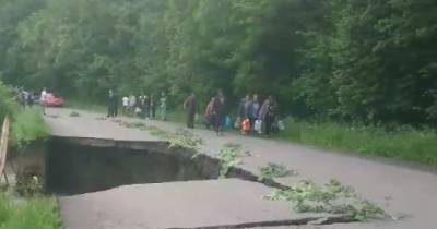 На Закарпатье бурная вода уничтожила дорогу: появилось видео