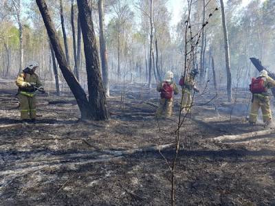 Суд оштрафовал жителя Курганской области, из-за которого сгорел гектар леса