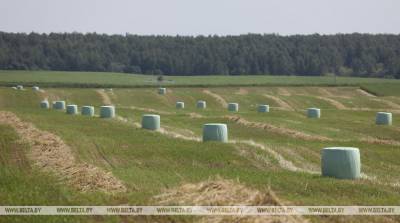 Первый укос трав проведен в Беларуси на 86,1% площадей