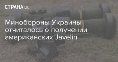 Минобороны Украины отчиталось о получении американских Javelin