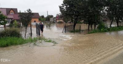 Река Днестр разлилась и затопила целые села на Прикарпатье: появилось видео