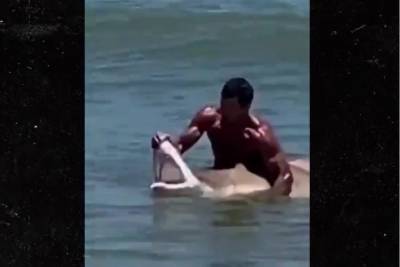 Появилось видео, как мужчина голыми руками поймал акулу