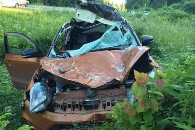 Машина в утиль, водитель с пассажиром в больнице: в Ярославской области произошло ДТП с лосем