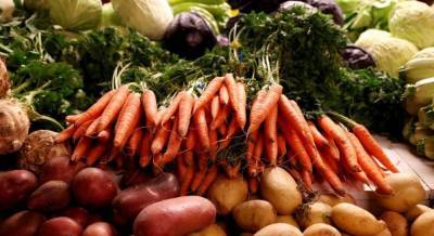 Украина избавилась от зависимости от российского рынка в экспорте овощей и фруктов