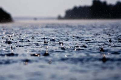 Вновь с дождями: синоптик рассказала о погоде 24 июня