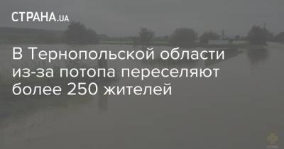 В Тернопольской области из-за потопа переселяют более 250 жителей