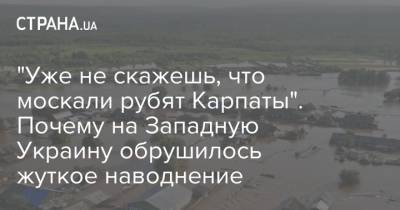 "Уже не скажешь, что москали рубят Карпаты". Почему на Западную Украину обрушилось жуткое наводнение