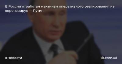 В России отработан механизм оперативного реагирования на коронавирус — Путин