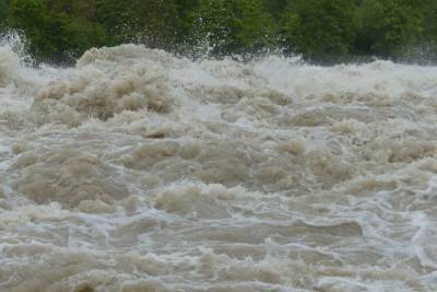 Режим ЧС объявили в 20 районах Сербии из-за наводнения