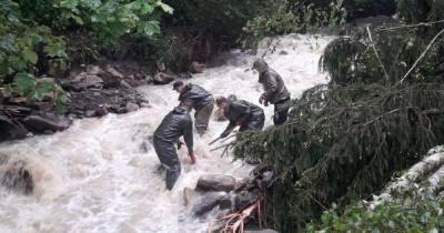 "Лес – не плотина для удержания воды": эксперты назвали причины масштабных наводнений в Карпатах