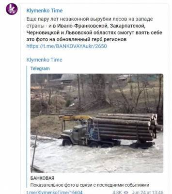 Вывоз леса во время наводнения на Прикарпатье оказался фейком: все подробности скандала