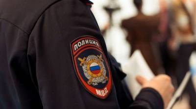 Житель Мордовии отработает мат в адрес полицейского - stolica-s.su - Мордовия
