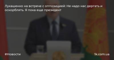 Лукашенко на встрече с оппозицией: Не надо нас дергать и оскорблять. Я пока еще президент