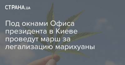 Под окнами Офиса президента в Киеве проведут марш за легализацию марихуаны