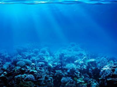 Ученые рассказали о существовании огромного океана глубоко под землей