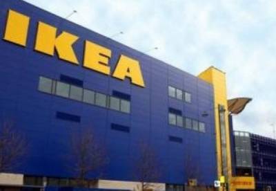 IKEA попала в громкий скандал из-за незаконно вырубленных лесов в Карпатах