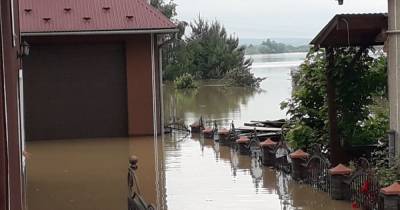 Наводнения на Западе Украины: видео затопленных поселков, визит чиновников и вероятная причина трагедии