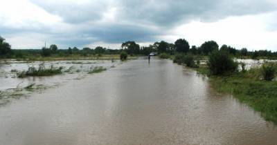 Поймы и дома: в ГСЧС предупредили о возможных затоплениях в двух районах Львовской области