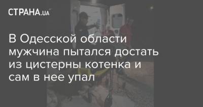 В Одесской области мужчина пытался достать из цистерны котенка и сам в нее упал