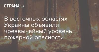 В восточных областях Украины объявили чрезвычайный уровень пожарной опасности