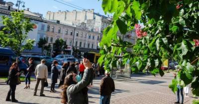 В Киевской области за три дня могут снова ужесточить карантин