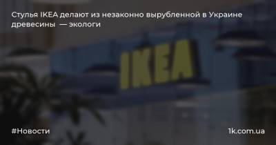 Стулья IKEA делают из незаконно вырубленной в Украине древесины — экологи