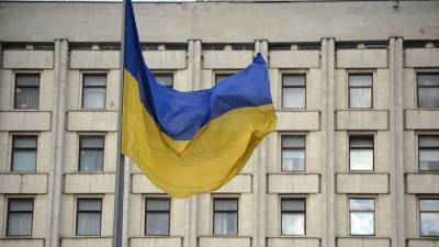 Украинский депутат задумалась о стерилизации безработных граждан