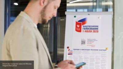 Онлайн-голосование по правкам в Конституцию РФ началось в Москве и Нижегородской области