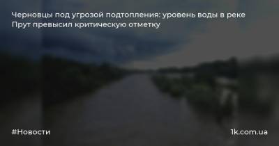 Черновцы под угрозой подтопления: уровень воды в реке Прут превысил критическую отметку