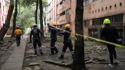 Число жертв землетрясения на юге Мексики возросло до десяти