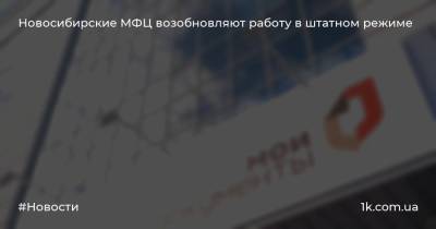 Новосибирские МФЦ возобновляют работу в штатном режиме