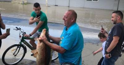 Паводок в Черновцах: на подтопленном Калиновском рынке мужчина поймал большую рыбу