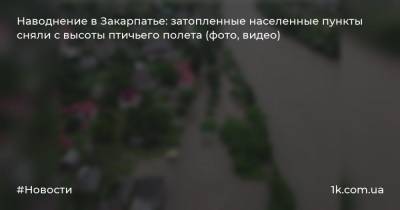 Наводнение в Закарпатье: затопленные населенные пункты сняли с высоты птичьего полета (фото, видео)