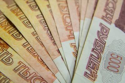 Предприятие в Хабаровске задолжало сотрудникам 20 млн руб зарплаты