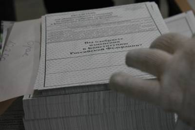 В Челябинской области открыты участки для голосования за поправки в Конституцию